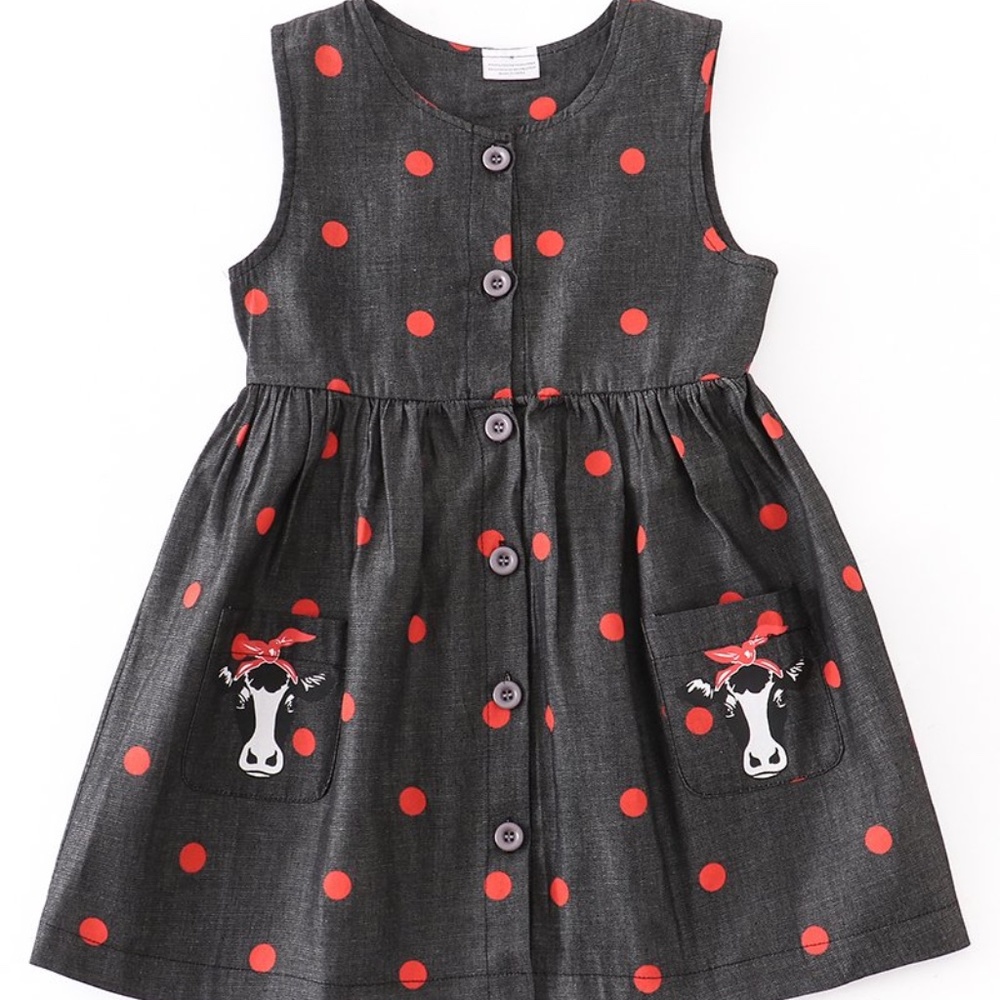 New & Unused Toddler Dress 2T
